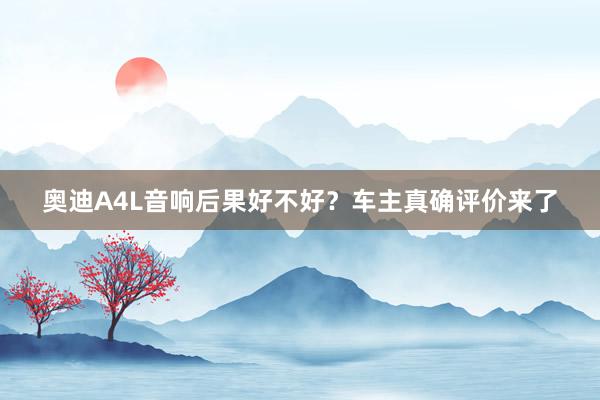 奥迪A4L音响后果好不好？车主真确评价来了